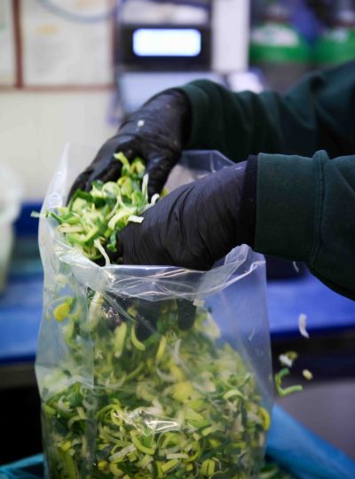 JPG_klein_500_SAN_8335